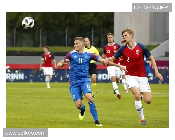 冰岛与加纳精彩对决比分直播全程跟踪分析与实时更新