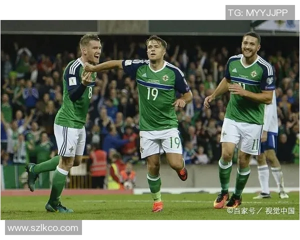 北爱尔兰与荷兰足球赛前瞻及胜负预测分析